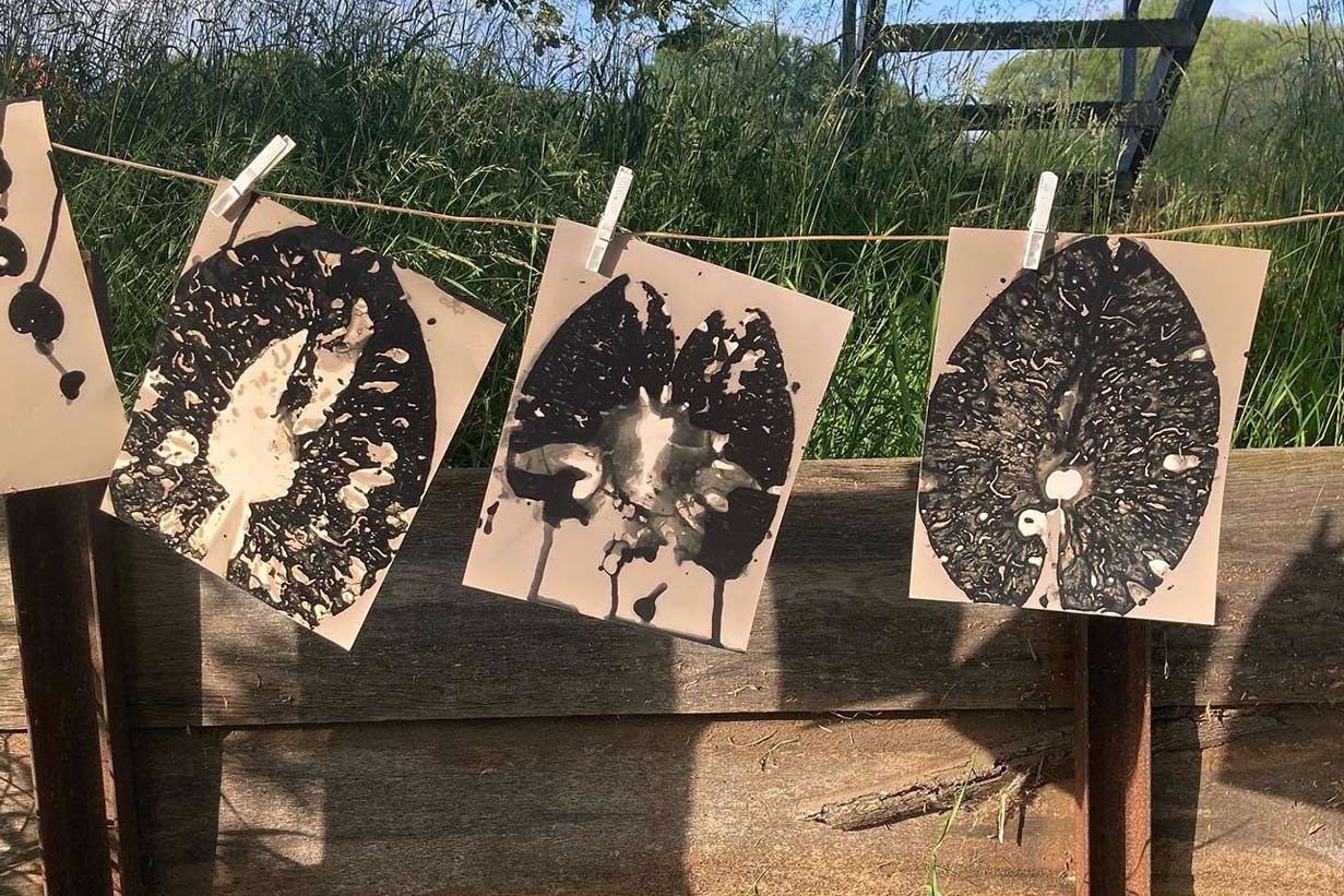 Phytograms by Regina Hügli at the Floodwater Residency in Northern Germany.