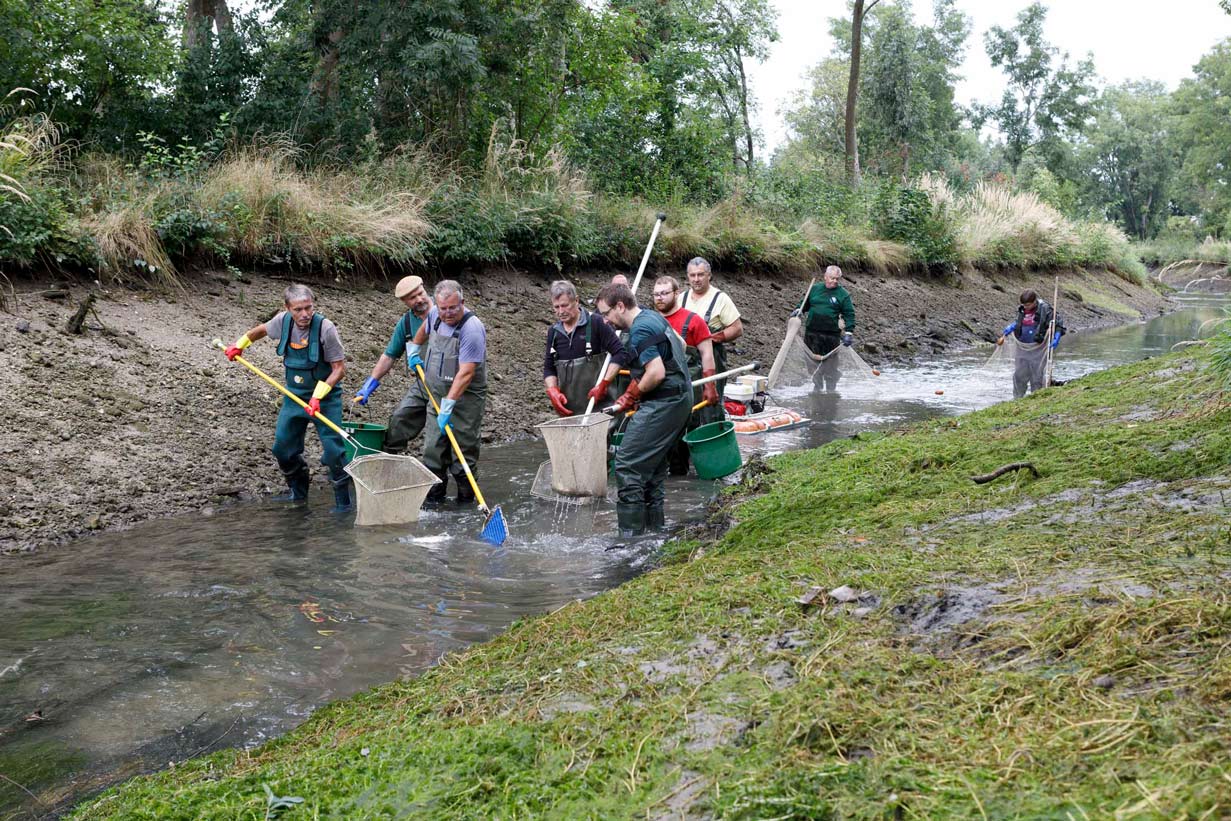 Fishermen emptying the industrial stream Muehlbach in St.Poelten.