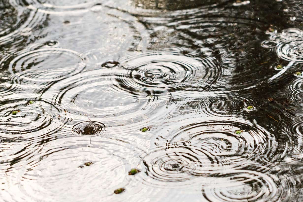 Raindrops in a puddle 